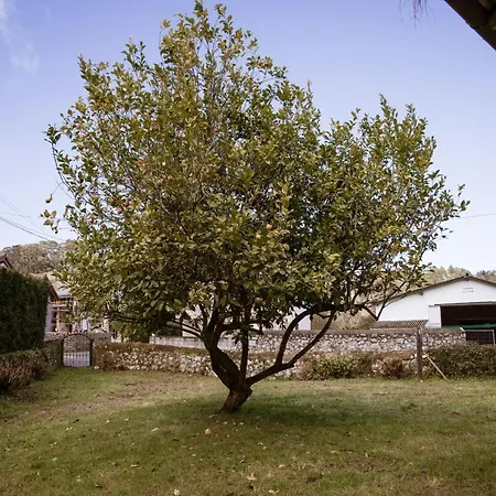 El Vallau Holiday home *